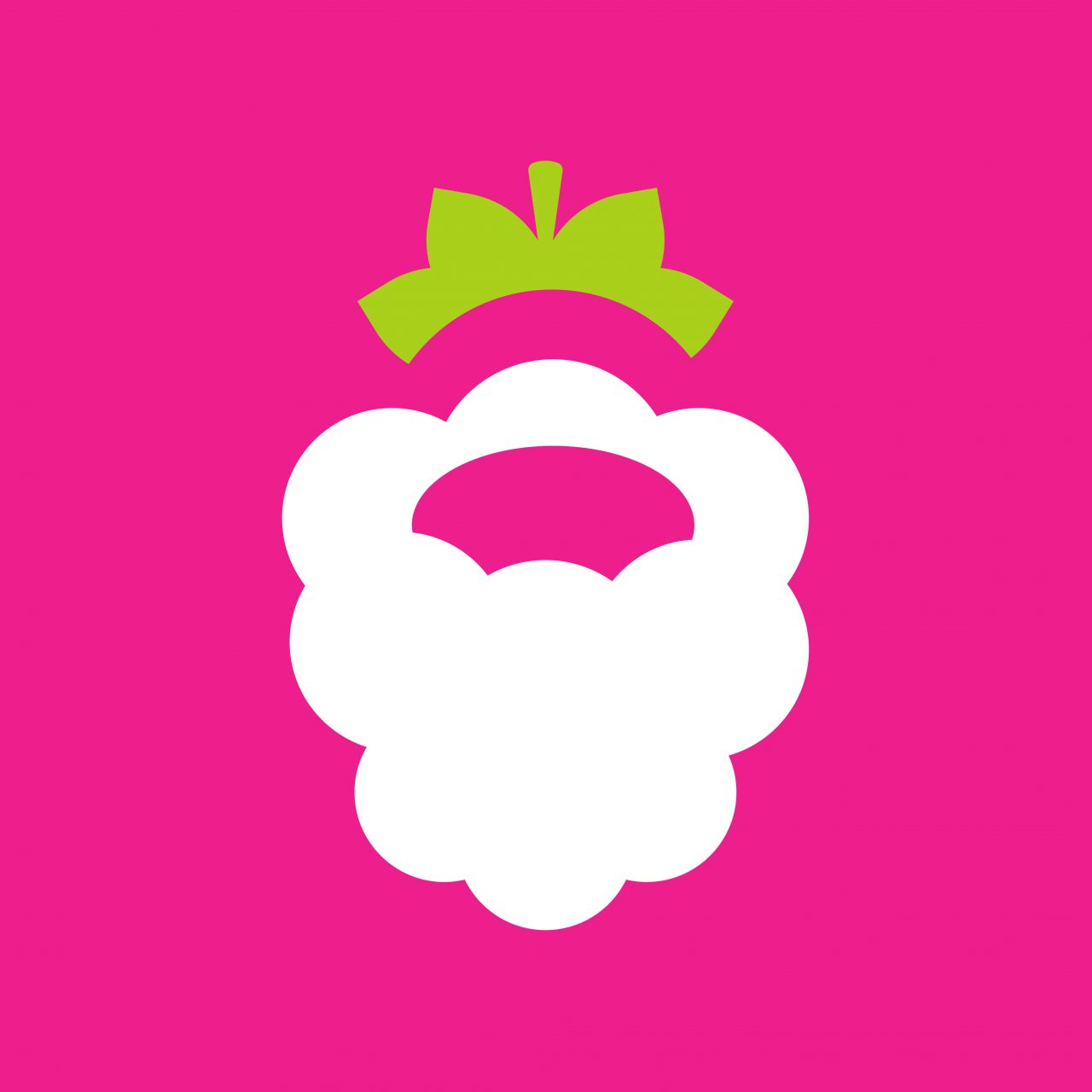 Logo design Raspberry. Minimal, clean, geometric logo design for a tech company